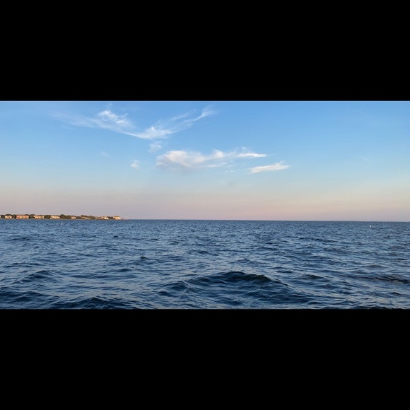 Meet your Posher, Alexiss - Picture 1 of 1